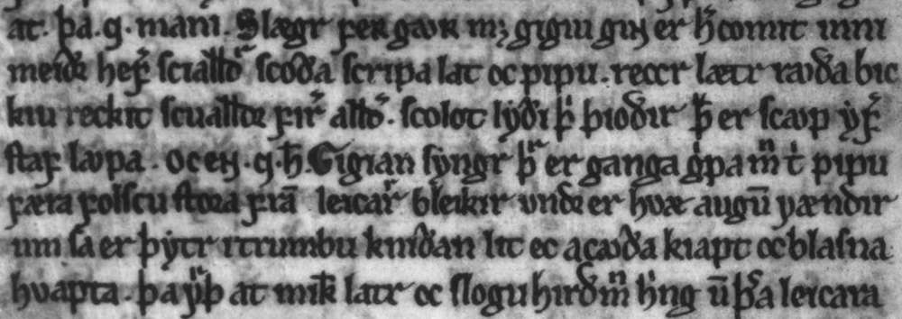 Strophes composées par Máni dans la Sverris saga (manuscrit AM 327 4to)